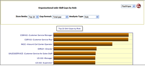 Organization-wide Skill Gaps by Role